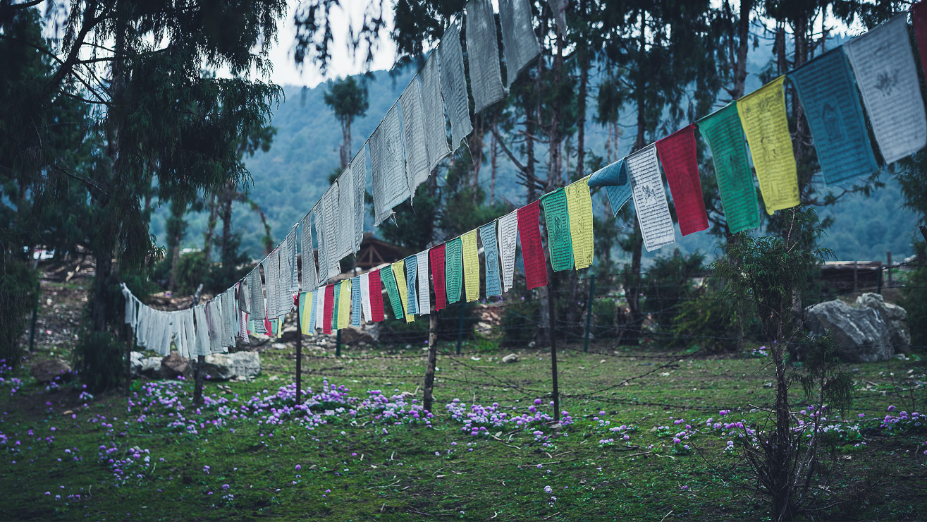 Prayer Flags, Gasa Dzong, Gasa, Bhutan, Nils Leonhardt