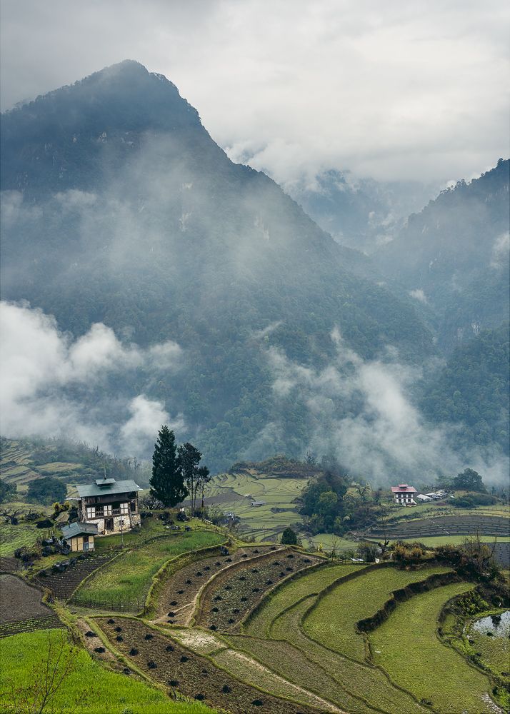 Rice Terraces, Gasa Valley, Bhutan, Nils Leonhardt