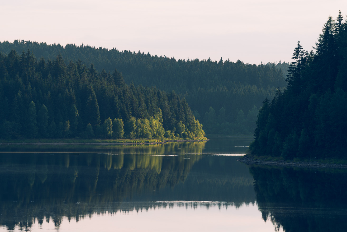 Nature Photography Ore Mountains, Saxony | Nils Leonhardt