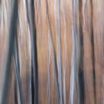 Abstract Art, Intentional Camera Movement, Ore Mountains, Nils Leonhardt