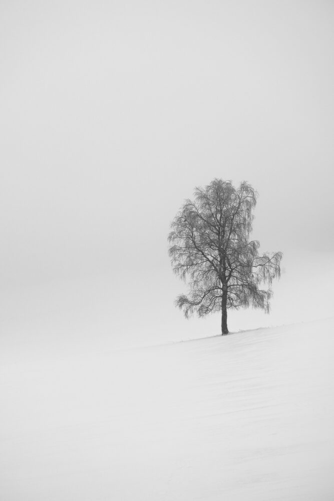 Black and White Landscape Photography, Ore Mountains by Nils Leonhardt