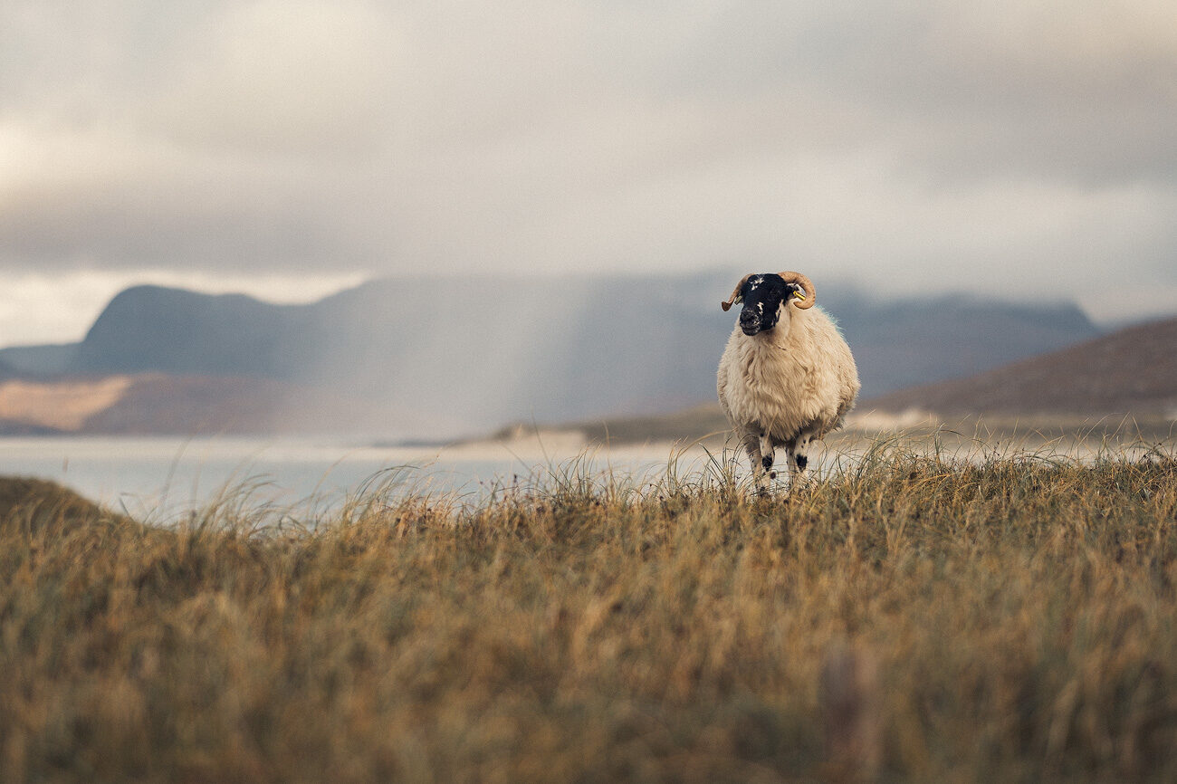 Storytelling, Isle of Harris, Scotland by Nils Leonhardt