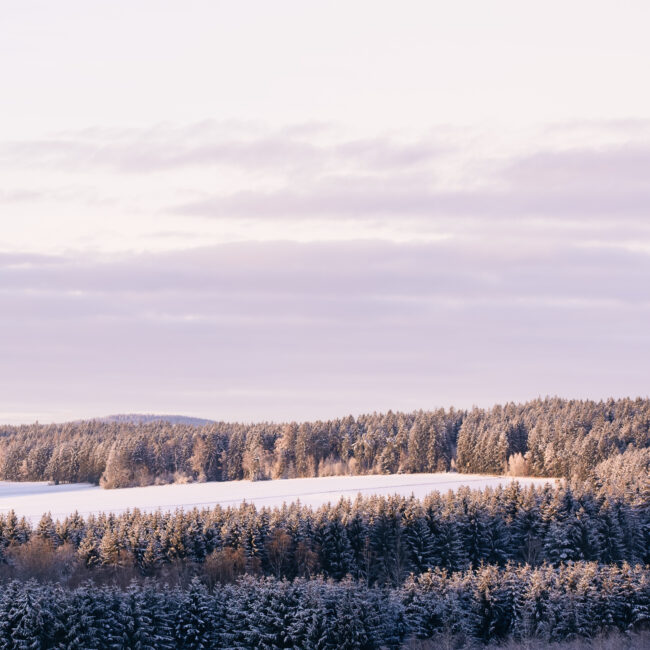 Christmas Stroll, Ore Mountains by Nils Leonhardt_10