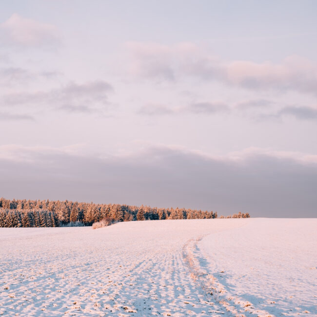 Christmas Stroll, Ore Mountains by Nils Leonhardt_2