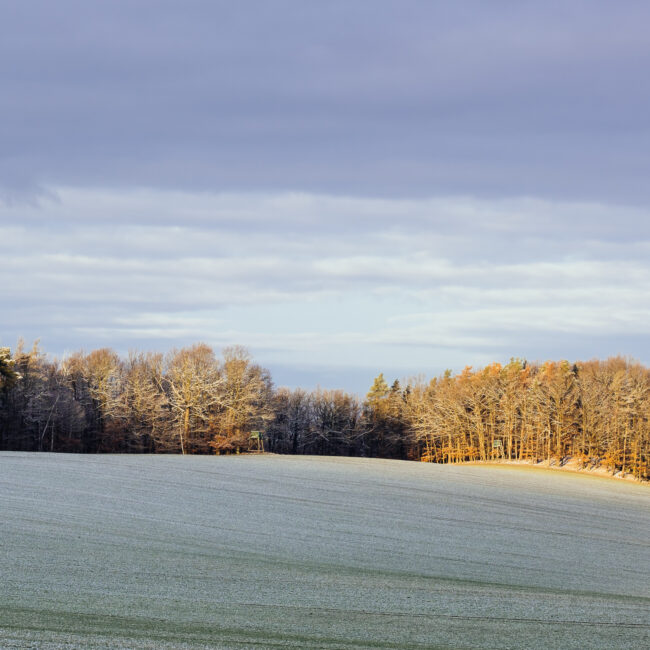 Christmas Stroll, Ore Mountains by Nils Leonhardt_3