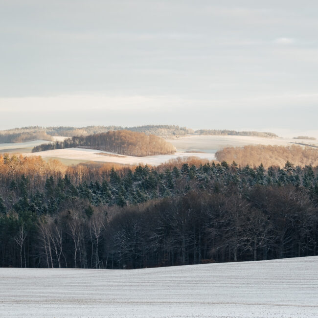 Christmas Stroll, Ore Mountains by Nils Leonhardt_6