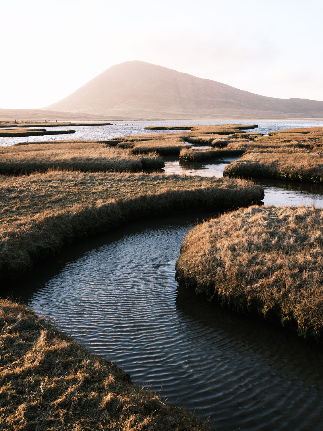 Salt Marsh Northton